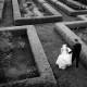 creative wedding photography thumbnail