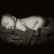 newborn portrait photography thumbnail
